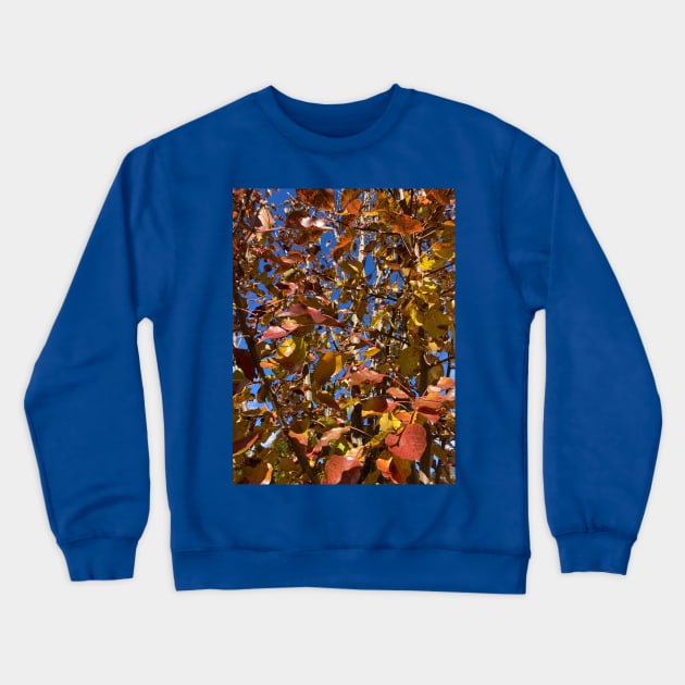 Late Autumn Pear Tree Crewneck Sweatshirt by Amanda1775